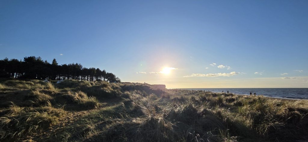 20251102_1516002979899897991296053-1024x473 Pallette: Hallow~Fawkes