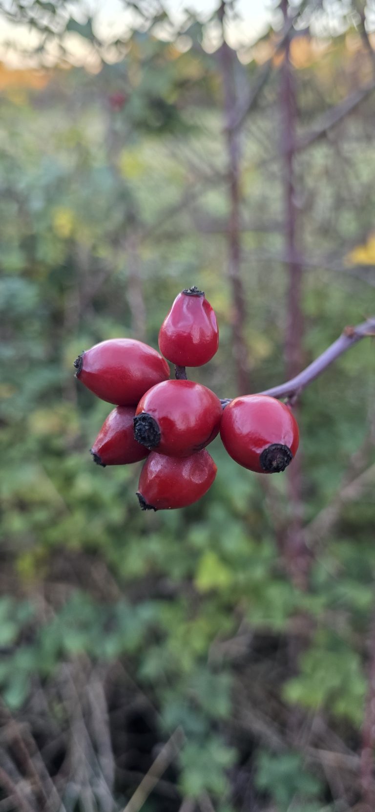 20251102_155332-768x1662 Articles