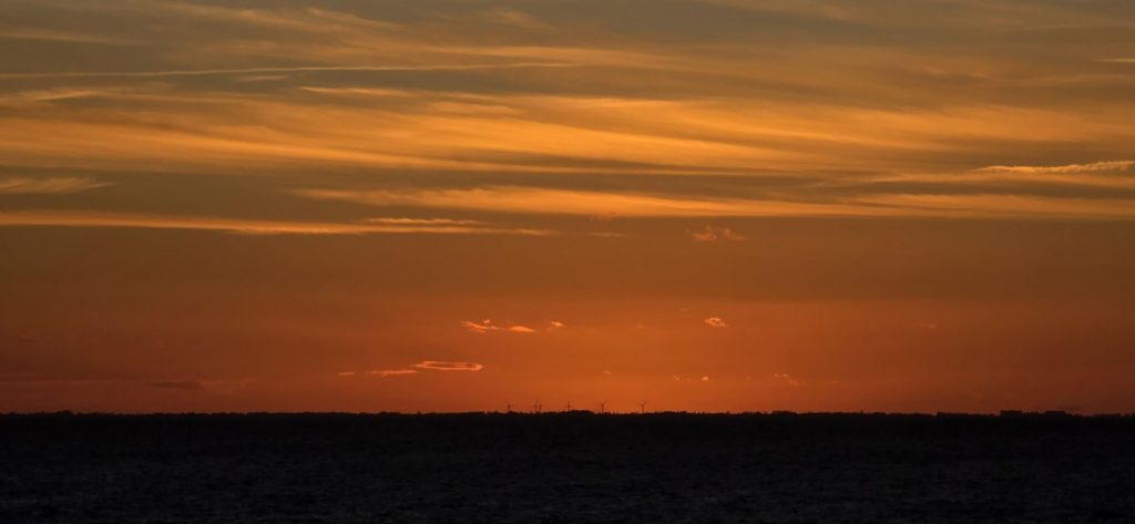 20251102_1626333481907088106337989-1024x473 Pallette: Hallow~Fawkes