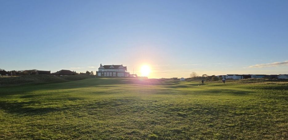 image_editor_output_image-2069347565-17623280486715098024756758615080 Pallette: Hallow~Fawkes