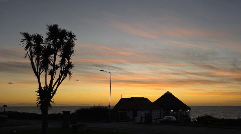 image_editor_output_image-660359294-17622898075466024093600738230117 Pallette: Hallow~Fawkes