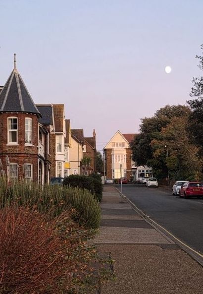 image_editor_output_image1178745529-1762289866352345801217355365016 Pallette: Hallow~Fawkes