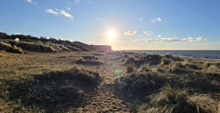 image_editor_output_image882876529-17622896789147673903924488108859-768x395 Articles