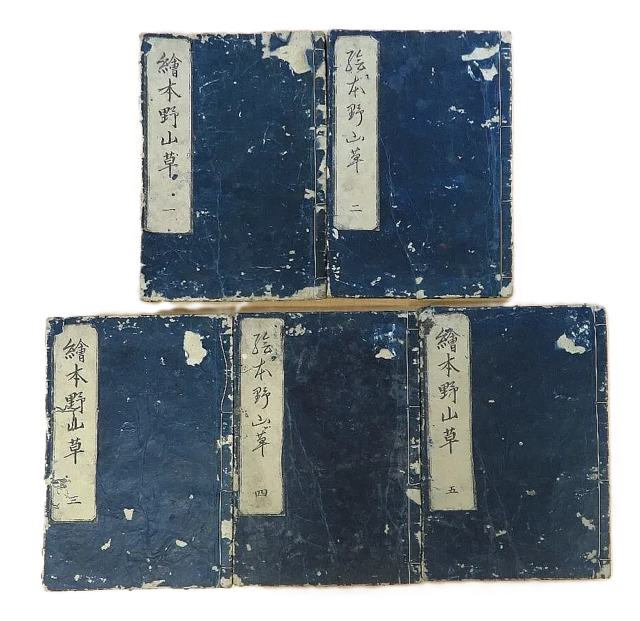 5books Wildflowers of the Floating World: The botany of Tachibana Yasukuni