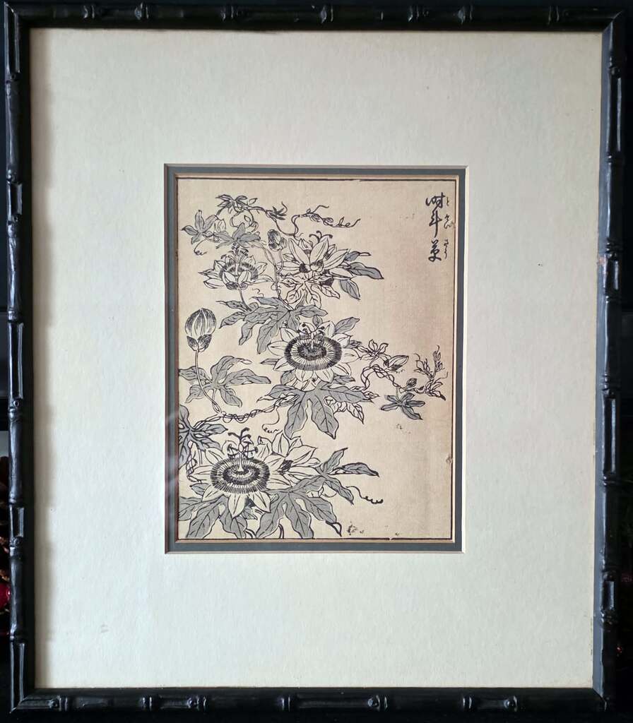 Passion-896x1024 Wildflowers of the Floating World: The botany of Tachibana Yasukuni