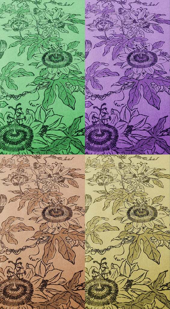 coloured4-565x1024 Wildflowers of the Floating World: The botany of Tachibana Yasukuni